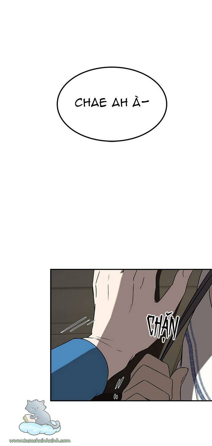 Cạm Bẫy Chapter 37 - Trang 2