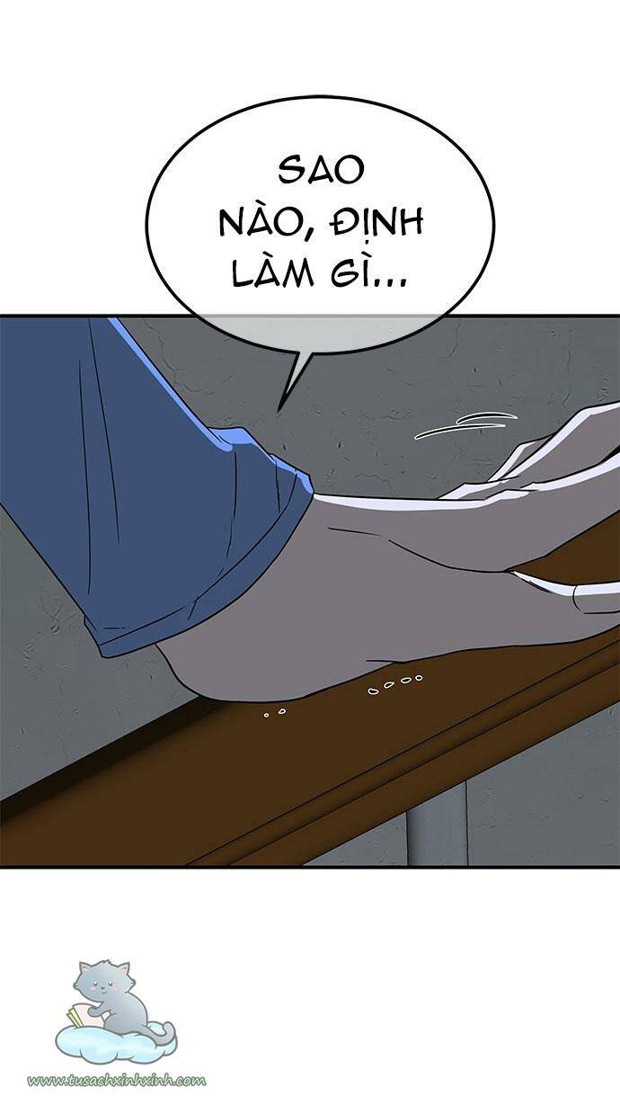 Cạm Bẫy Chapter 46 - Trang 2