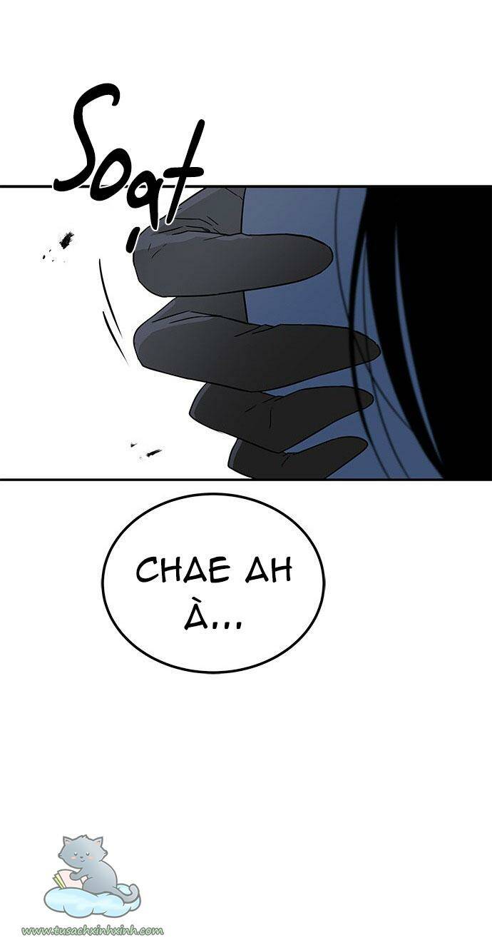 Cạm Bẫy Chapter 46 - Trang 2