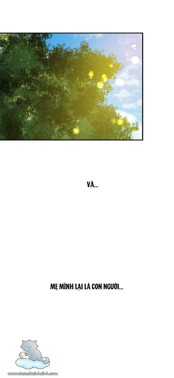 Cạm Bẫy Chapter 63 - Trang 2