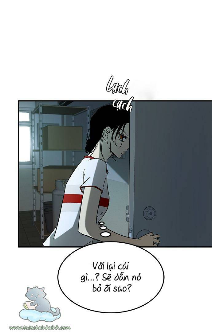 Cạm Bẫy Chapter 64 - Trang 2