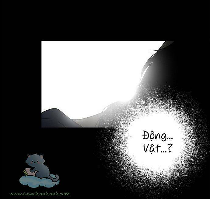 Cạm Bẫy Chapter 65 - Trang 2