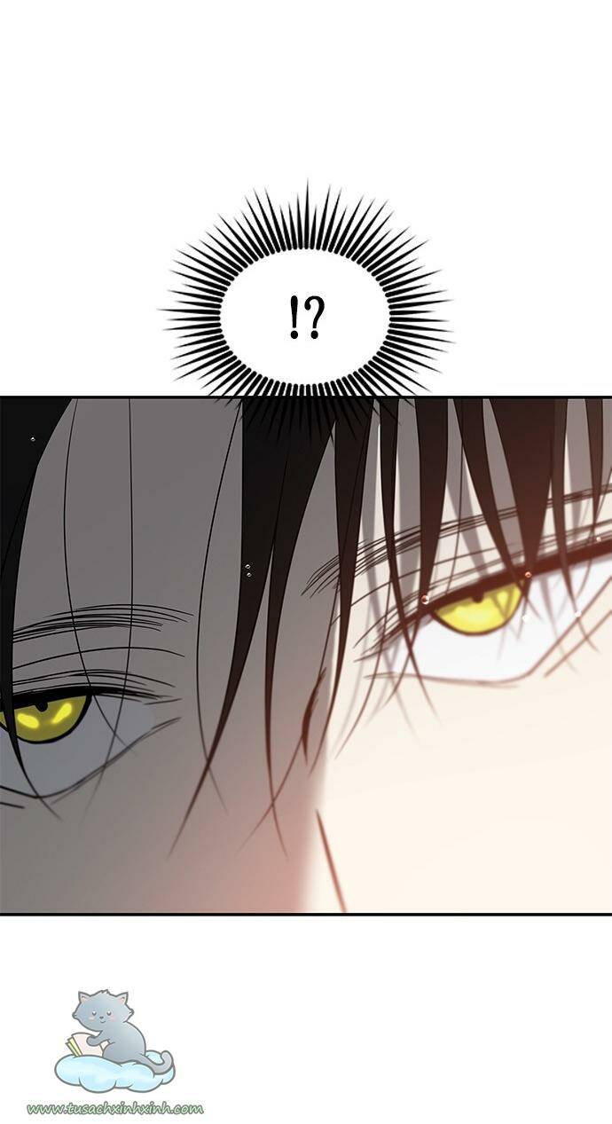 Cạm Bẫy Chapter 72 - Trang 2