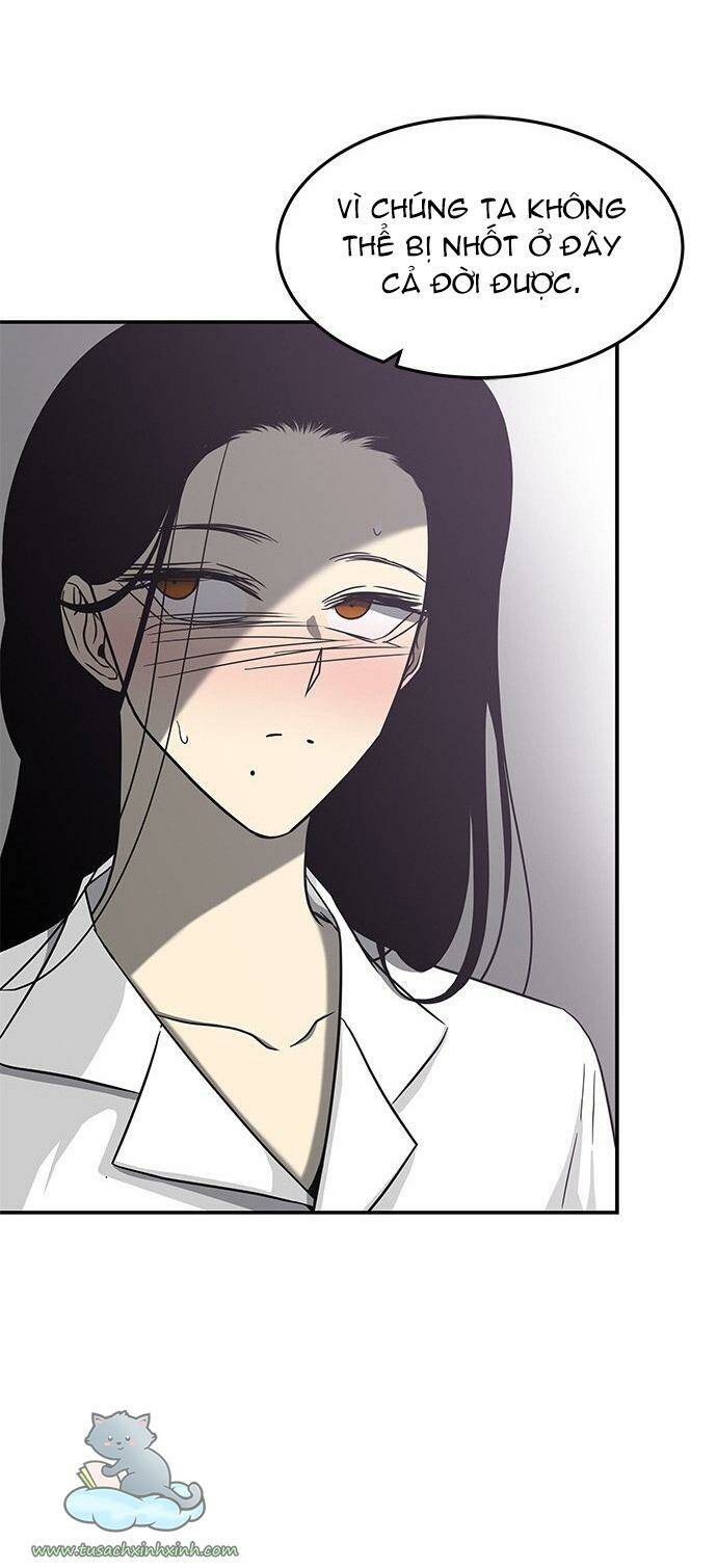 Cạm Bẫy Chapter 82 - Trang 2