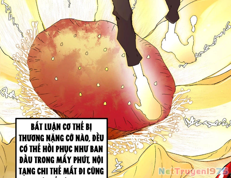Cấm Chú Sư Mạnh Nhất Lịch Sử Chapter 1 - Trang 2