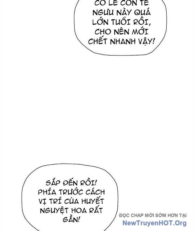 Cầm Heo Chém Bay Vạn Giới Chapter 6 - Trang 2