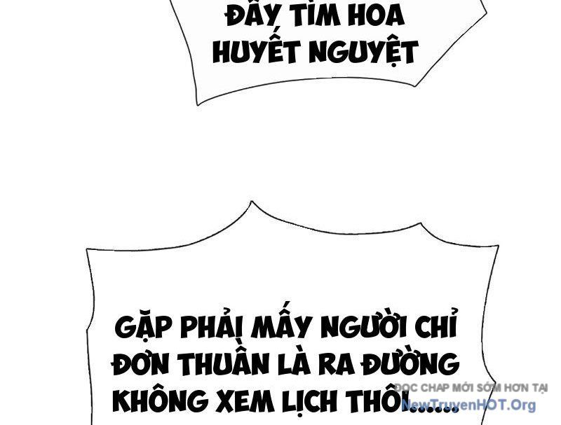 Cầm Heo Chém Bay Vạn Giới Chapter 7 - Trang 2