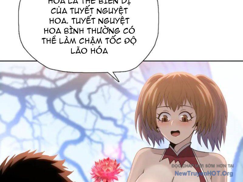 Cầm Heo Chém Bay Vạn Giới Chapter 8 - Trang 2