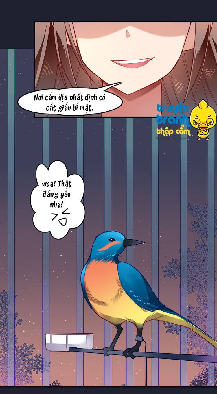 Cẩm Lý Quy Chapter 1 - Trang 2