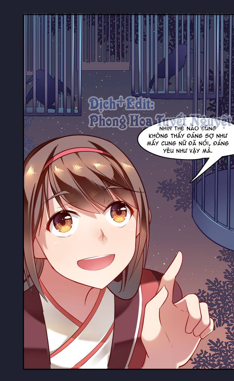 Cẩm Lý Quy Chapter 1 - Trang 2