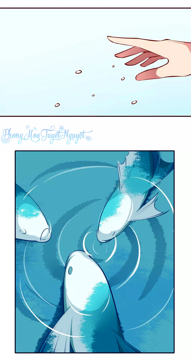 Cẩm Lý Quy Chapter 11 - Trang 2