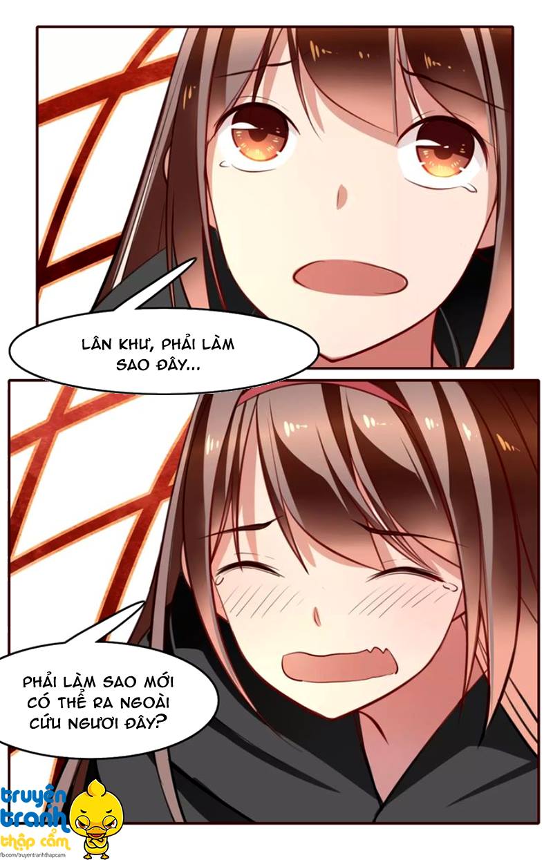 Cẩm Lý Quy Chapter 13 - Trang 2