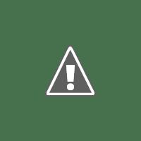 Cẩm Lý Quy Chapter 15 - Trang 2