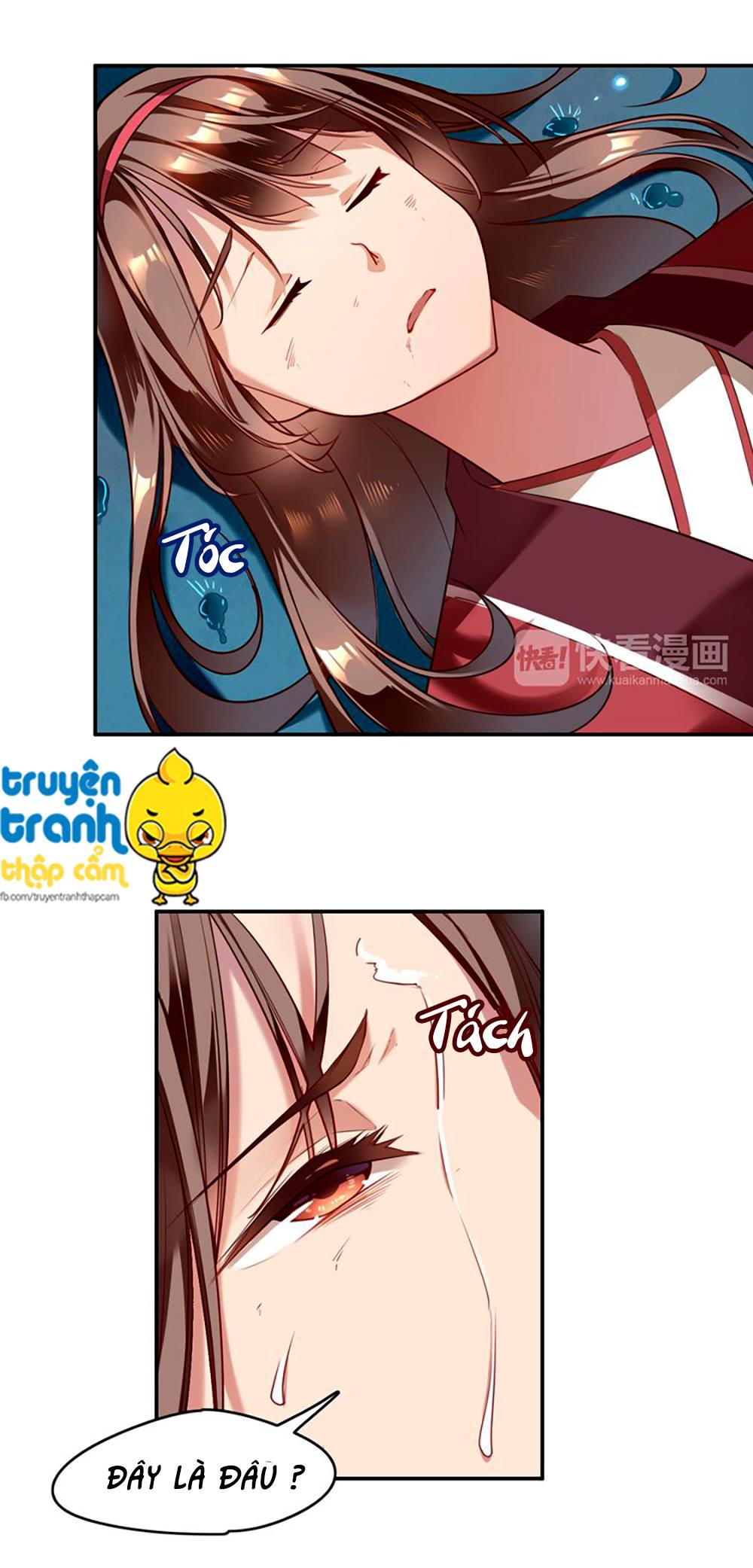 Cẩm Lý Quy Chapter 2 - Trang 2