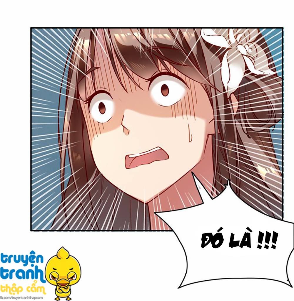 Cẩm Lý Quy Chapter 2 - Trang 2