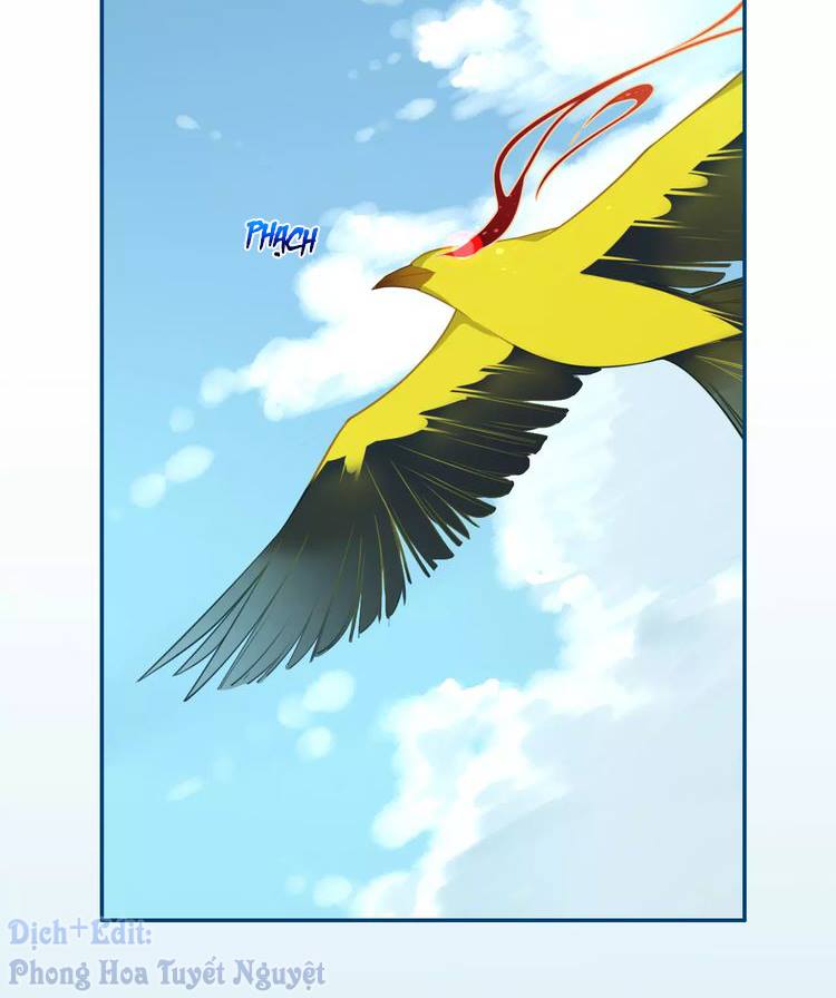 Cẩm Lý Quy Chapter 6 - Trang 2