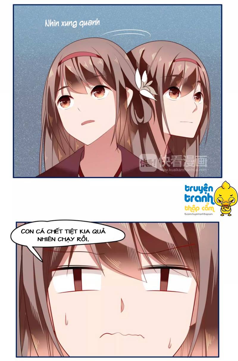 Cẩm Lý Quy Chapter 8 - Trang 2