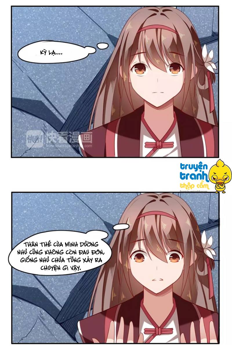 Cẩm Lý Quy Chapter 8 - Trang 2