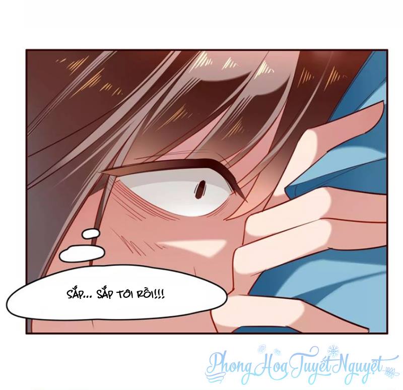 Cẩm Lý Quy Chapter 8 - Trang 2