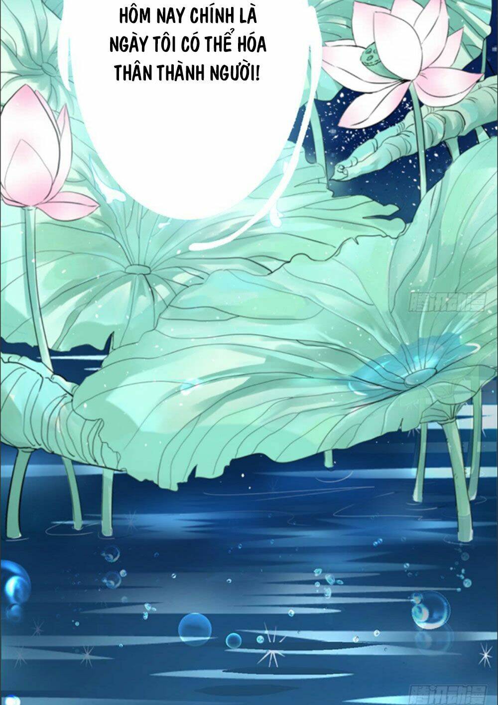 Cẩm Lý Thiếu Nữ Của Tôi Chapter 1 - Trang 2