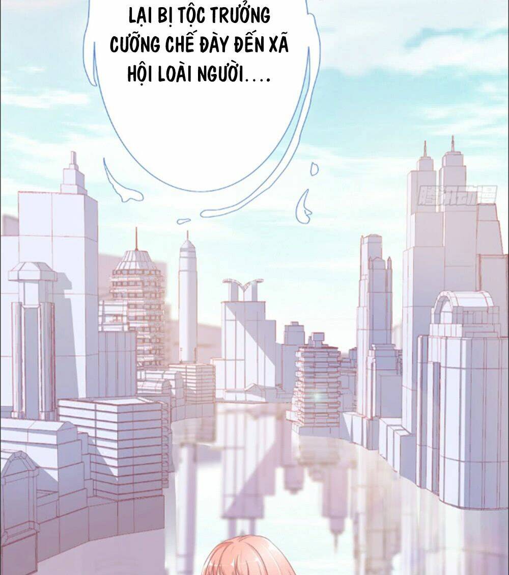 Cẩm Lý Thiếu Nữ Của Tôi Chapter 1 - Trang 2