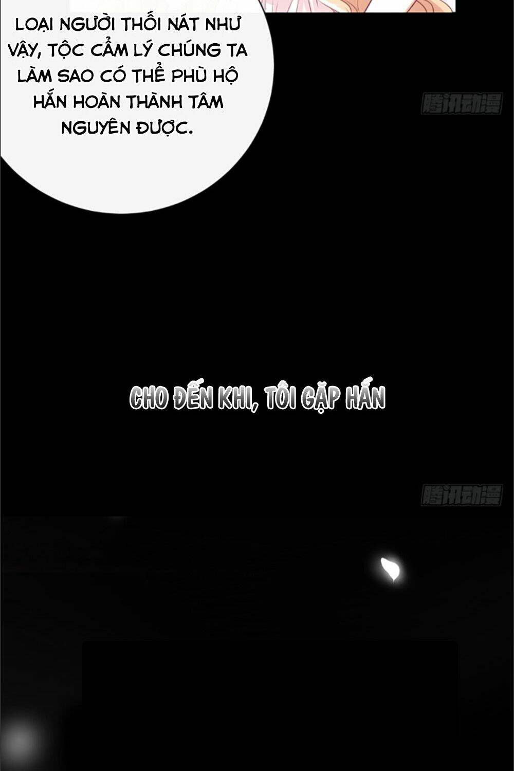 Cẩm Lý Thiếu Nữ Của Tôi Chapter 1 - Trang 2