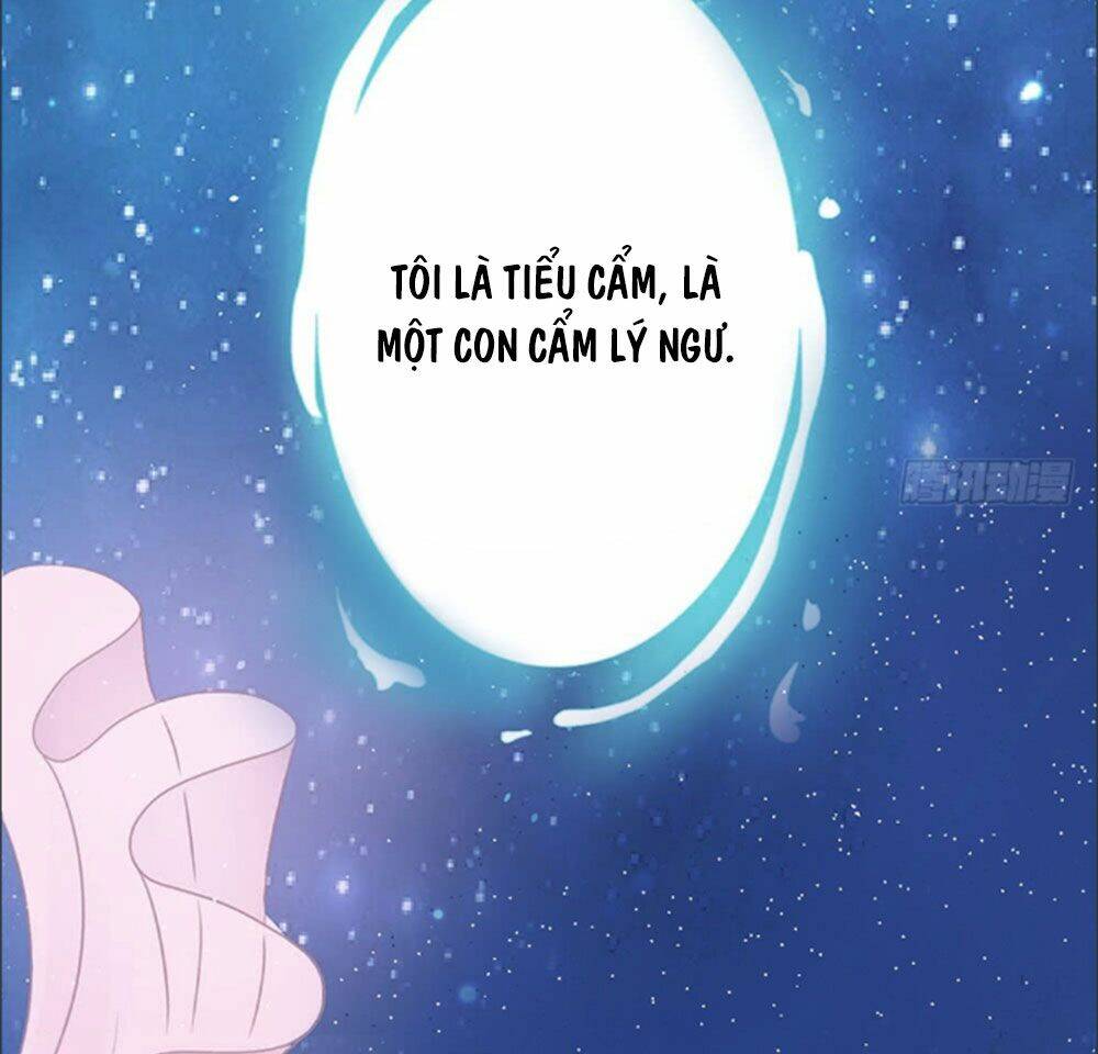 Cẩm Lý Thiếu Nữ Của Tôi Chapter 1 - Trang 2