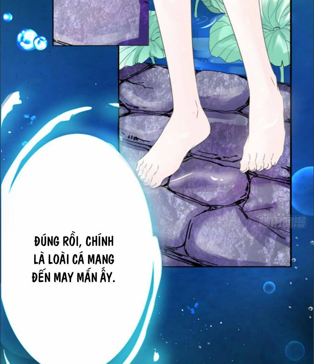 Cẩm Lý Thiếu Nữ Của Tôi Chapter 1 - Trang 2