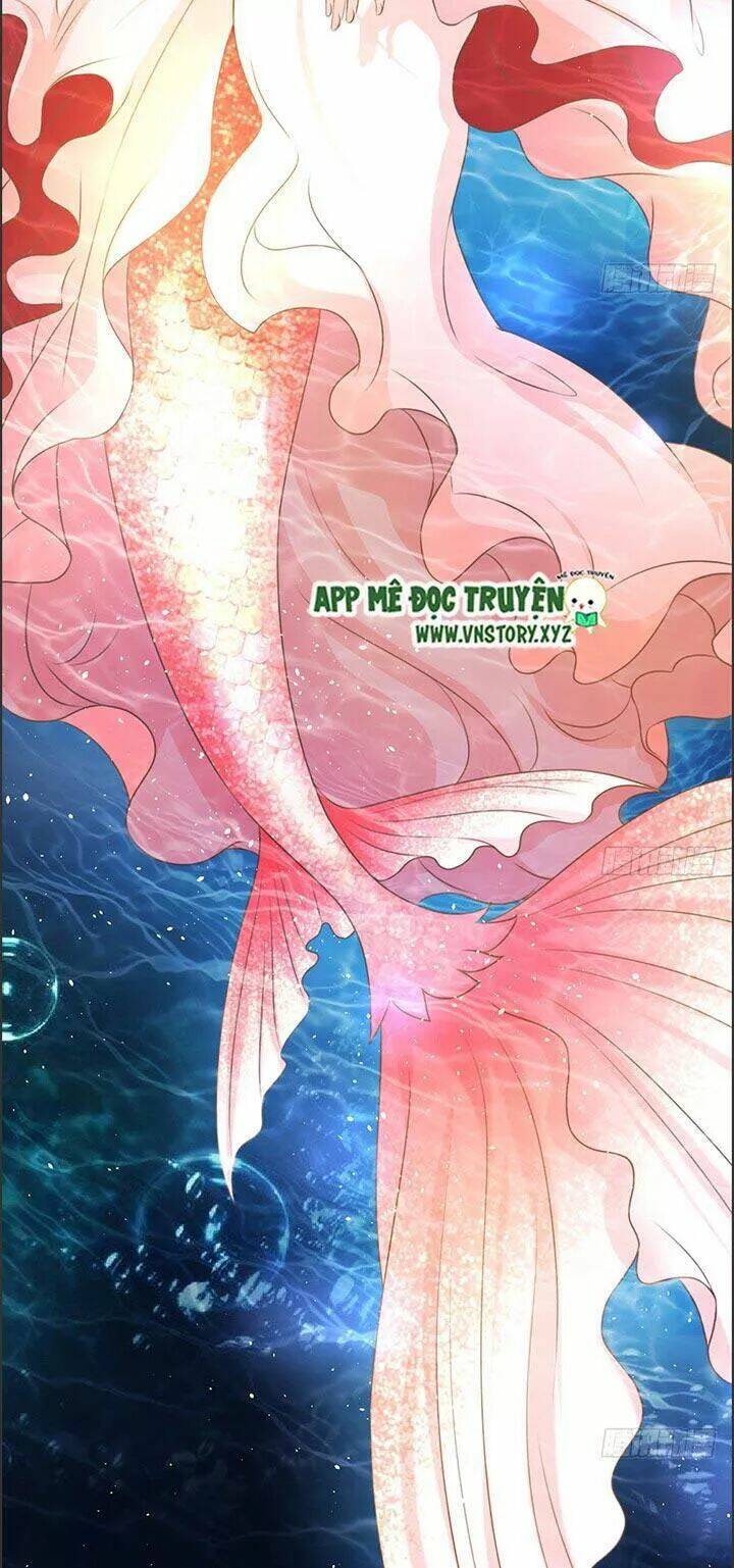 Cẩm Lý Thiếu Nữ Của Tôi Chapter 22 - Trang 2