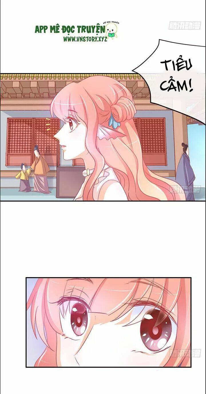 Cẩm Lý Thiếu Nữ Của Tôi Chapter 22 - Trang 2