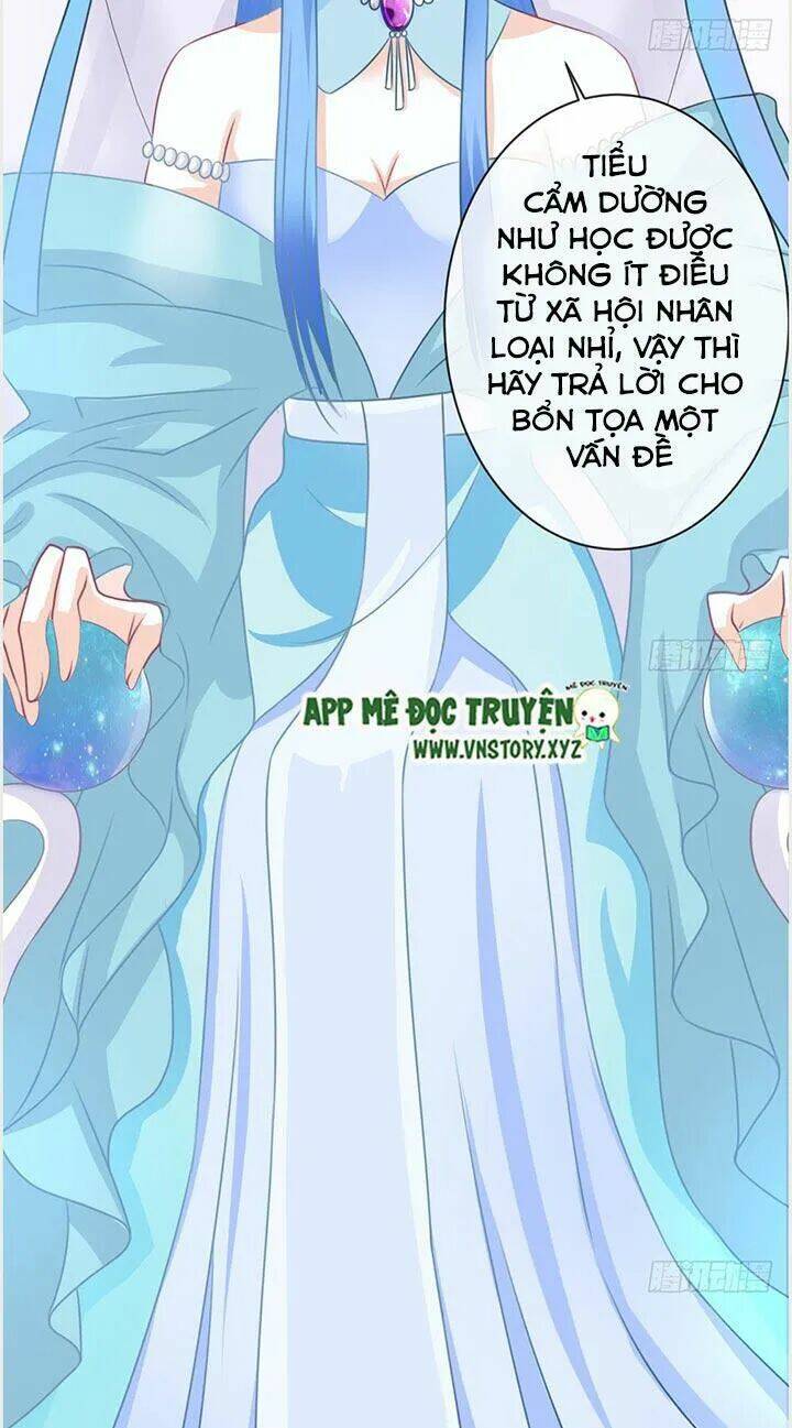 Cẩm Lý Thiếu Nữ Của Tôi Chapter 24 - Trang 2