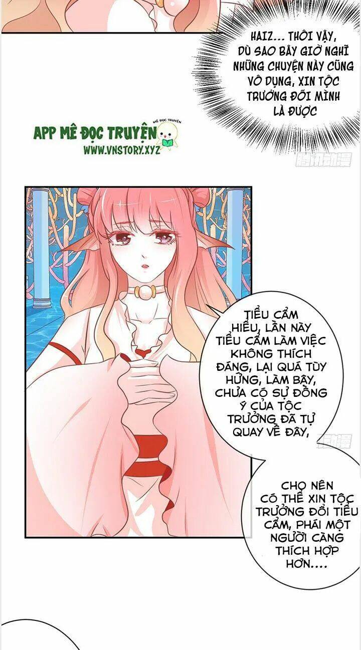 Cẩm Lý Thiếu Nữ Của Tôi Chapter 24 - Trang 2