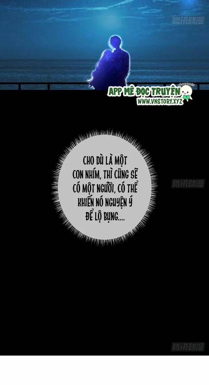 Cẩm Lý Thiếu Nữ Của Tôi Chapter 37 - Trang 2