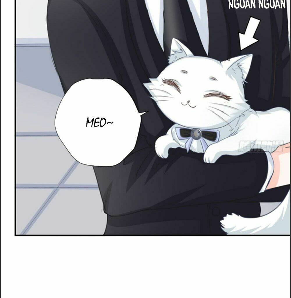 Cẩm Lý Thiếu Nữ Của Tôi Chapter 6.1 - Trang 2