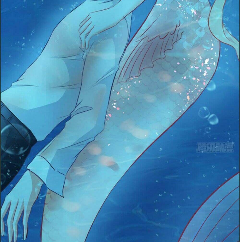 Cẩm Lý Thiếu Nữ Của Tôi Chapter 9.4 - Trang 2