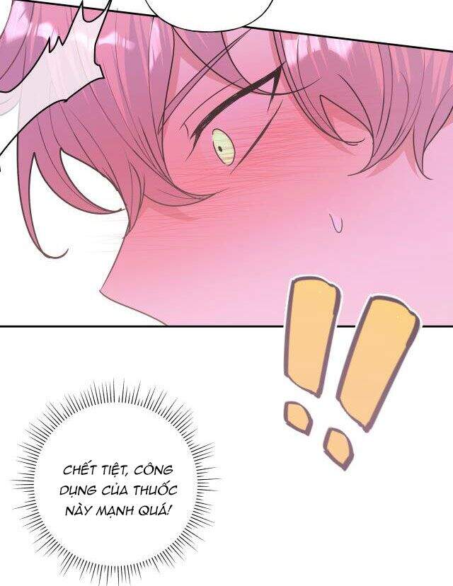 Cẩn Thận Bị Mộng Ma Ăn Mất Đó! Chapter 21 - Trang 2