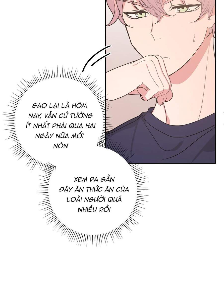 Cẩn Thận Bị Mộng Ma Ăn Mất Đó! Chapter 27 - Trang 2