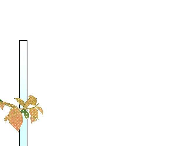 Cẩn Thận Bị Mộng Ma Ăn Mất Đó! Chapter 50 - Trang 2