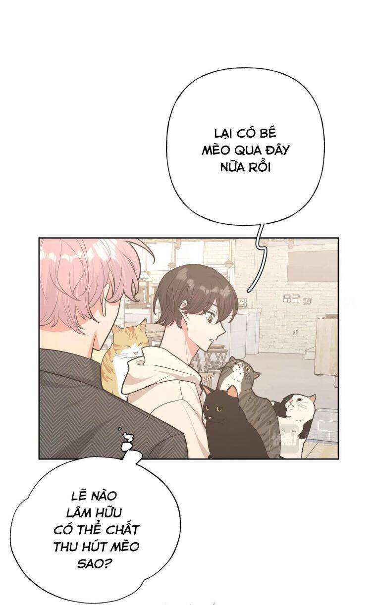 Cẩn Thận Bị Mộng Ma Ăn Mất Đó! Chapter 64 - Trang 2