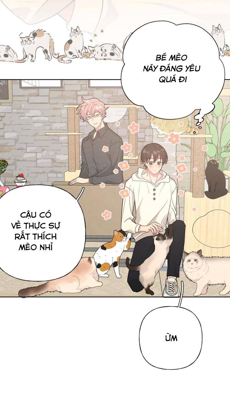 Cẩn Thận Bị Mộng Ma Ăn Mất Đó! Chapter 64 - Trang 2