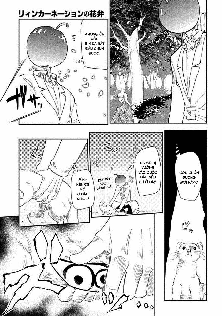 Cánh Hoa Về Luân Hồi Chapter 17 - Trang 2