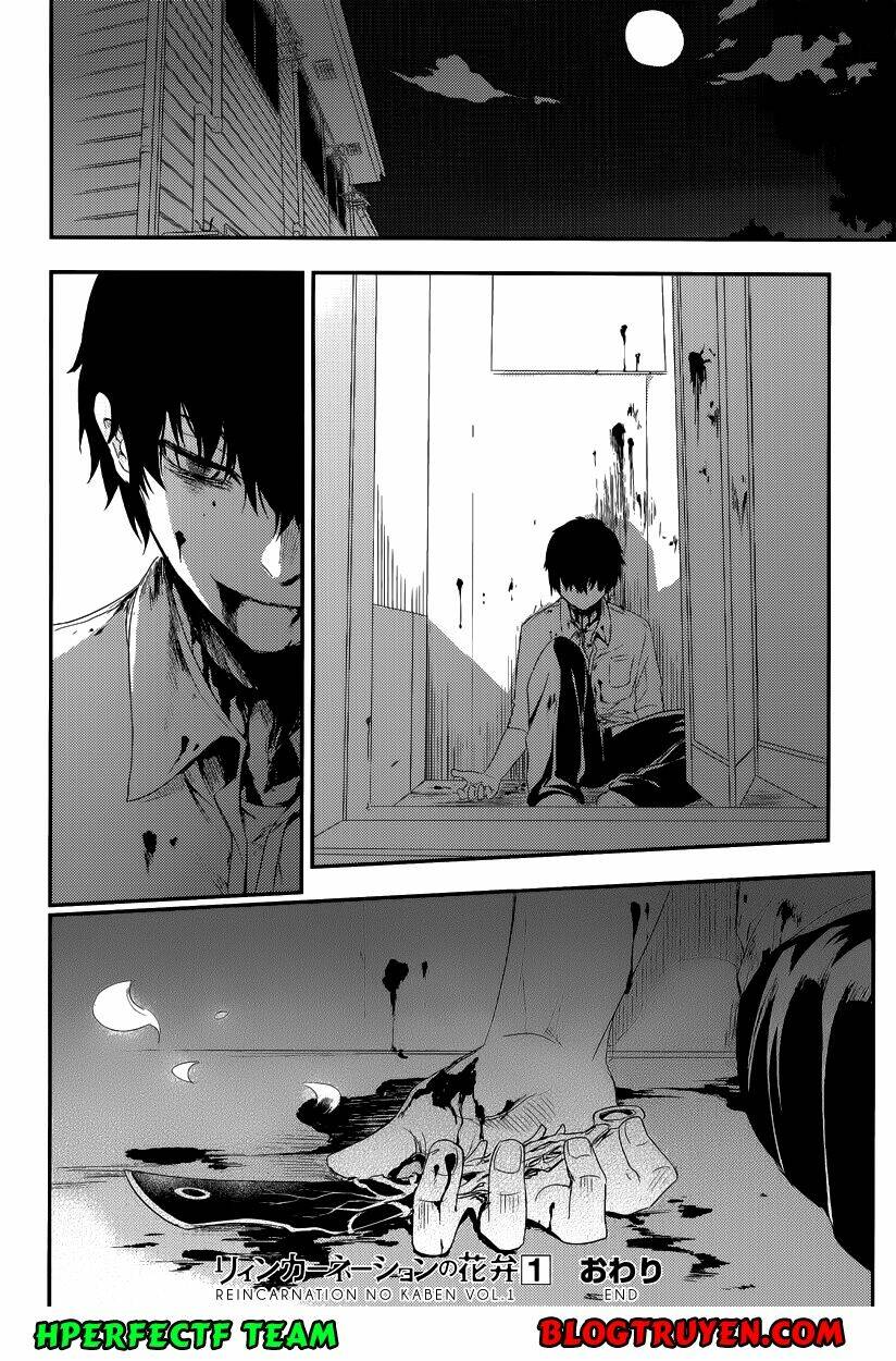 Cánh Hoa Về Luân Hồi Chapter 4 - Trang 2