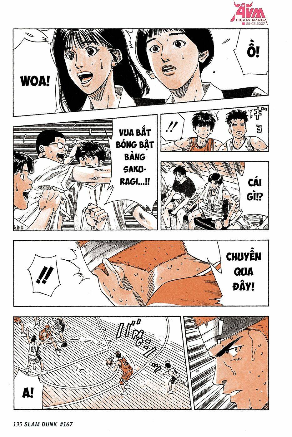 Cao Thủ Bóng Rổ (Remake) Chapter 167 - Trang 2