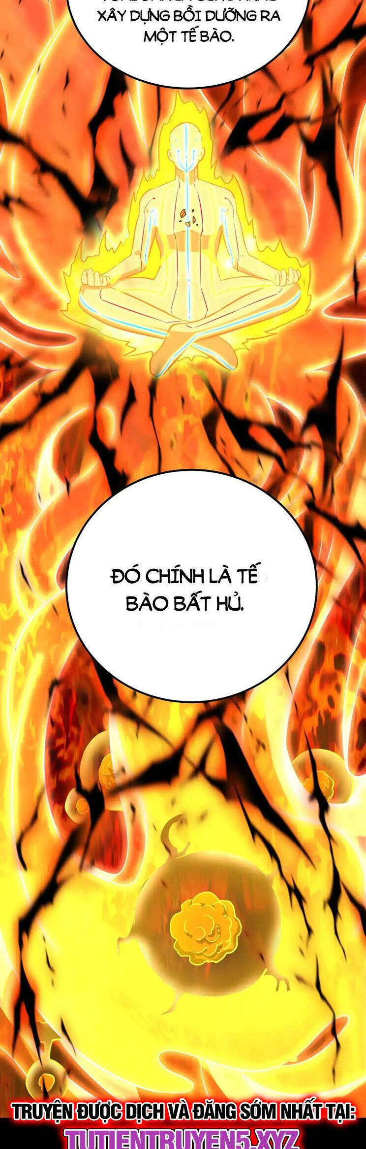 Cao Võ: Hạ Cánh Đến Một Vạn Năm Sau Chapter 120 - Trang 2