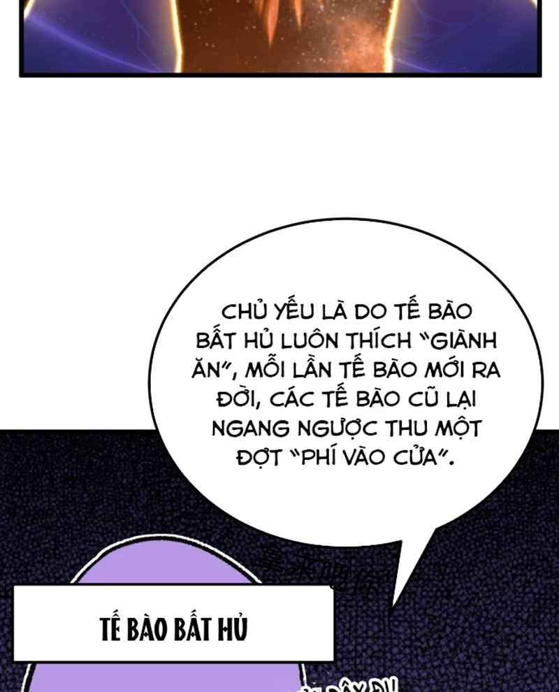 Cao Võ: Hạ Cánh Đến Một Vạn Năm Sau Chapter 176 - Trang 2