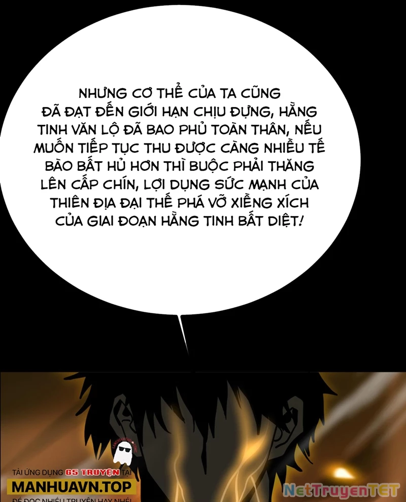 Cao Võ: Hạ Cánh Đến Một Vạn Năm Sau Chapter 191 - Trang 2