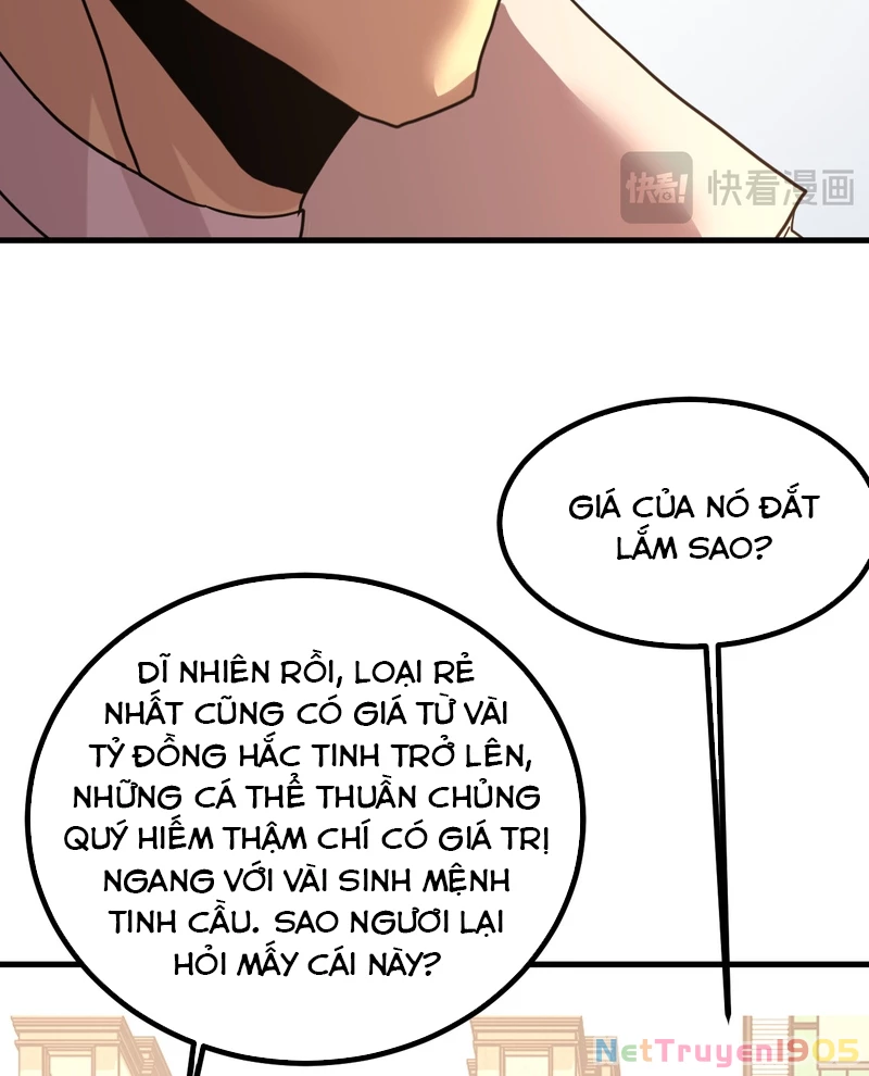 Cao Võ: Hạ Cánh Đến Một Vạn Năm Sau Chapter 234 - Trang 2
