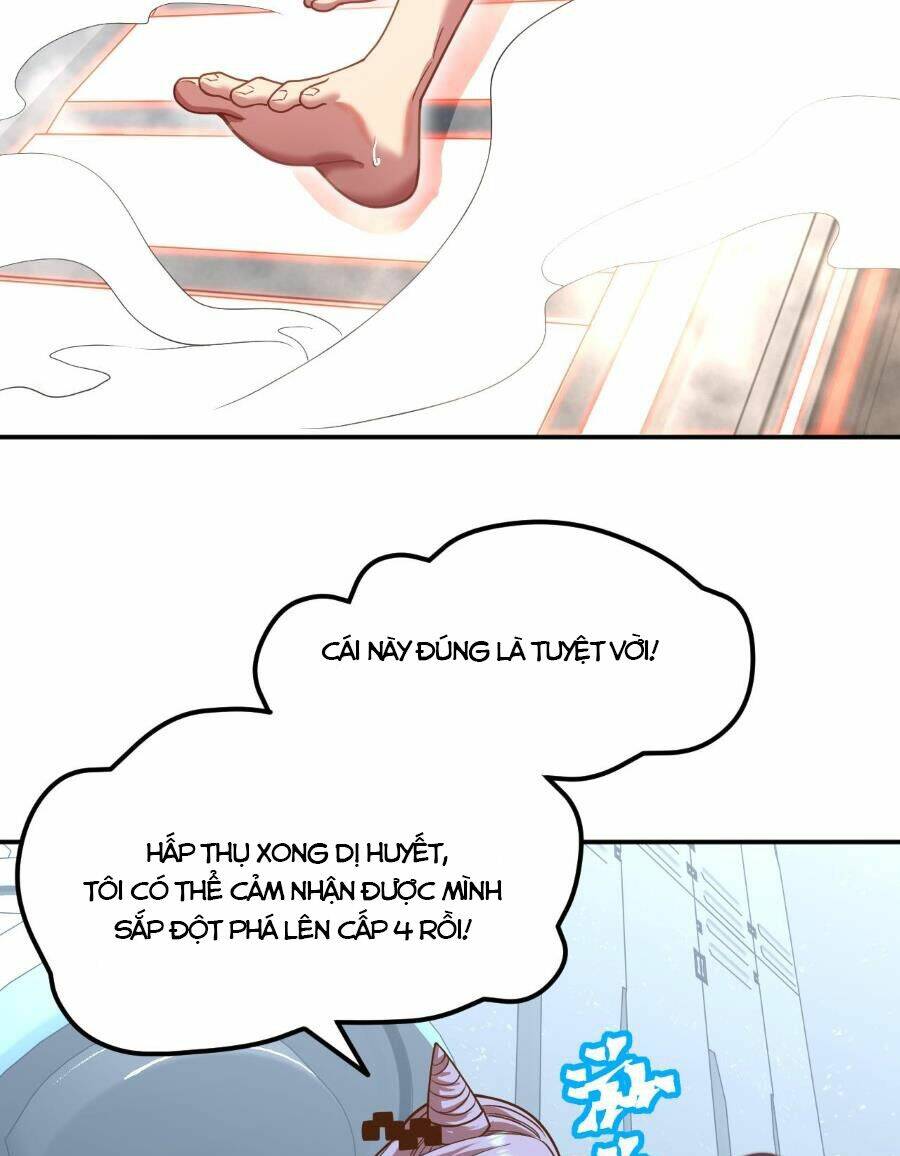 Cao Võ: Hạ Cánh Đến Một Vạn Năm Sau Chapter 50 - Trang 2