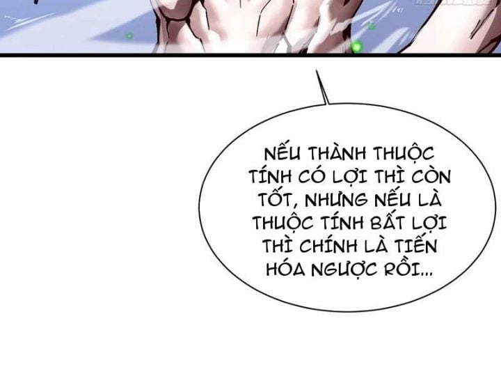 Cao Võ Tiến Hóa: Bắt Đầu Thức Tỉnh Quái Thú Chi Vương Chapter 20 - Trang 2