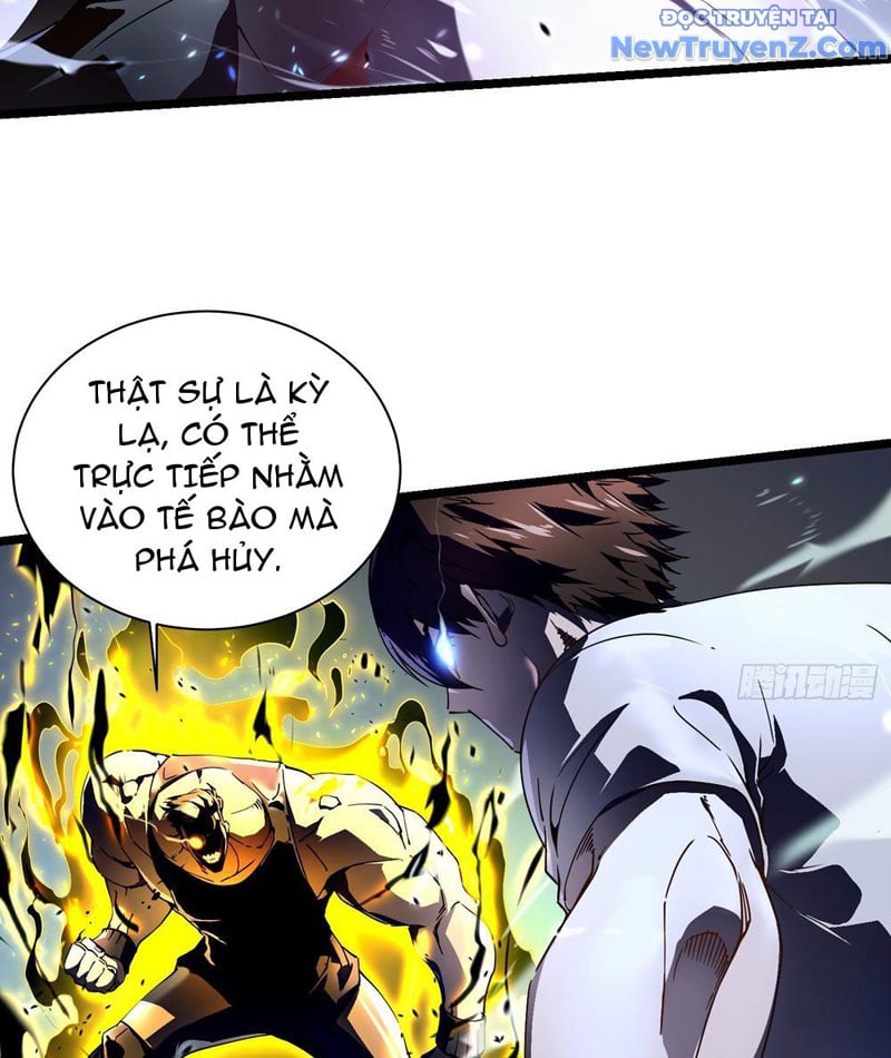 Cao Võ Tiến Hóa: Bắt Đầu Thức Tỉnh Quái Thú Chi Vương Chapter 7 - Trang 2